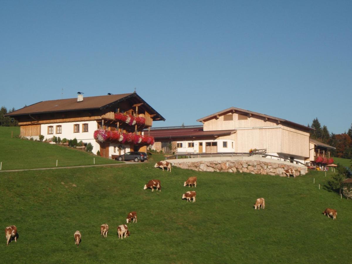 Sonnenappartements Madlstatthof Wildschoenau Ngoại thất bức ảnh